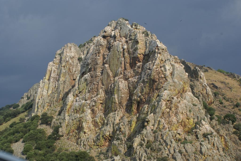 Casa Rural Al-Mofrag Y Apartamentos El Mirador De Monfraguee 比利亚雷亚尔圣卡洛斯 外观 照片